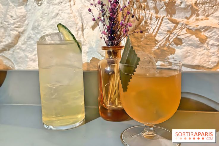 L'Arbane, un bar aux cocktails insolites avec un happy hour à 10€ du côté de Saint-Michel à Paris