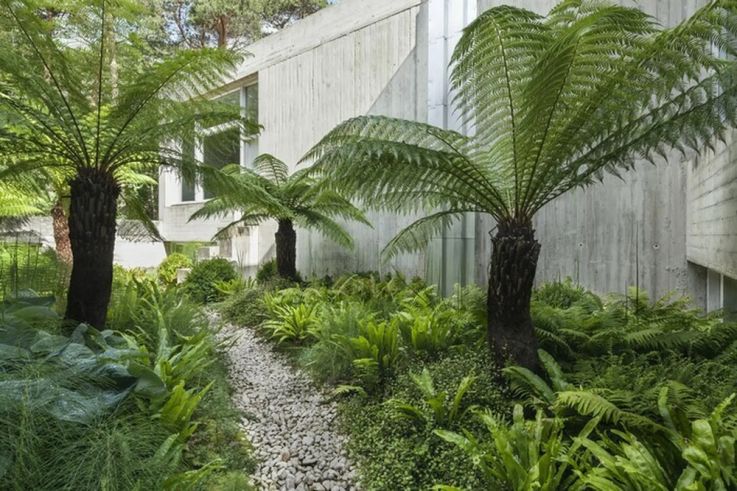 Rendez-Vous aux Jardins au Musée de la Préhistoire de Nemours, le programme