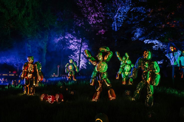 Sleepy Hollow Forest : une balade immersive et nocturne dans un jardin remarquable en région parisienne