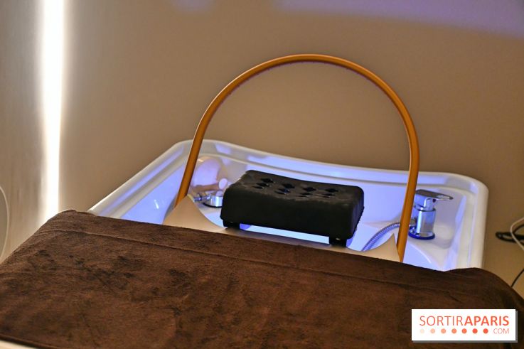 NESSPA head spa capillaire