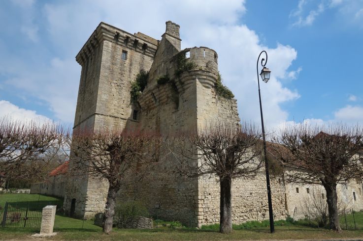 En Seine-et-Marne, ce donjon médiéval se dévoile lors de visites exceptionnelles