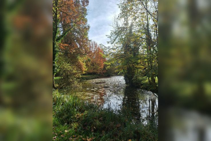 Découvrez le jardin privé d'un centre spirituel à Versailles pour les Rendez-Vous aux Jardins 2026