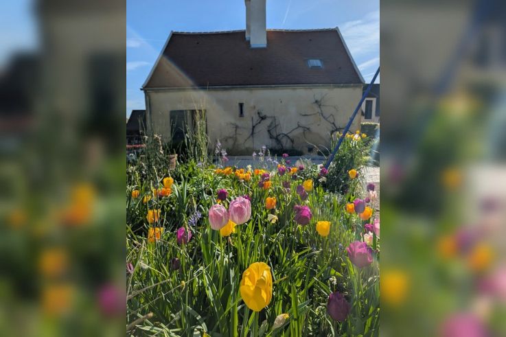 Ce jardin sensoriel s’anime pour les Rendez-Vous aux Jardins 2026 en île-de-France