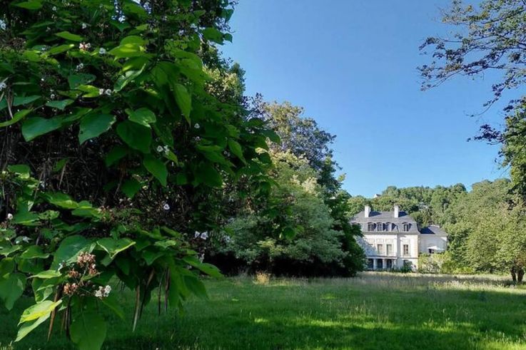 Ce jardin anglo-chinois fraichement classé, vous ouvre exceptionnellement ses portes pour les Rendez-Vous aux Jardins 2026