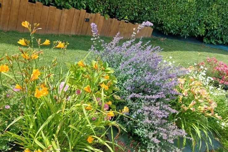 Créez votre " Parfum d'âme" lors d'un atelier champêtre pour les Rendez-Vous aux Jardins 2026 