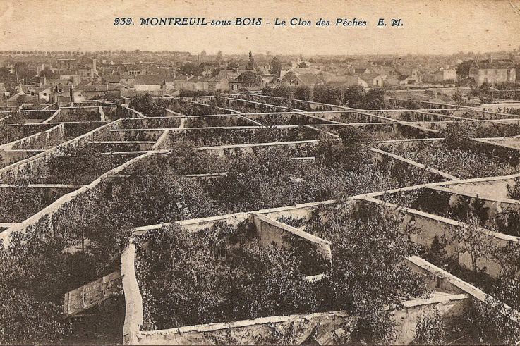 Connaissez-vous l'histoire des murs à pêches ? Voici pourquoi ce site est classé Jardin Remarquable