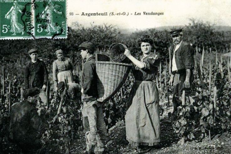 Cette ville aux portes de Paris était autrefois l'un des vignobles les plus prolifiques de la région !