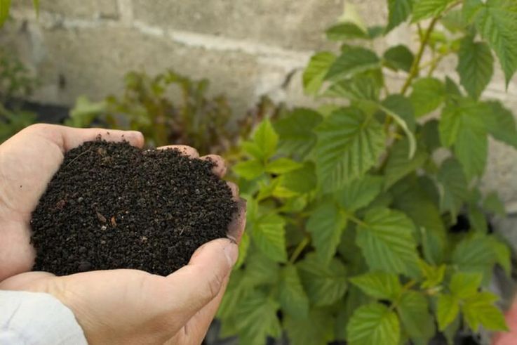Dans cette serre située aux portes de Paris, un atelier jardinage pour les Rendez-Vous aux Jardins 2026