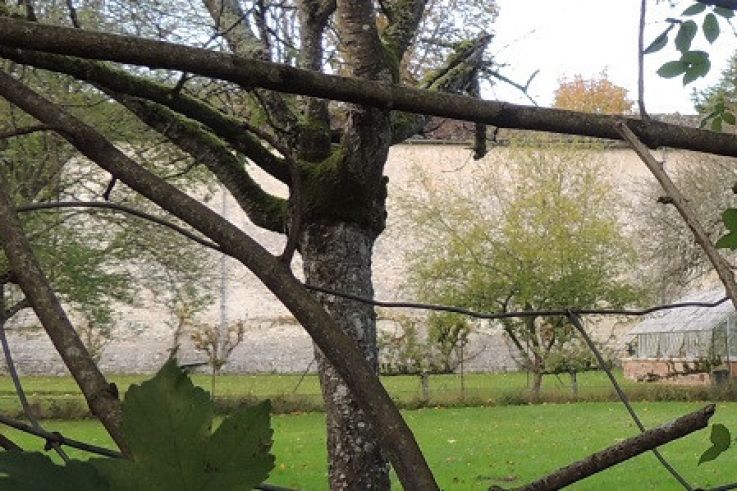 Longtemps laissé à l'abandon, ce château d'Île-de-France devrait rouvrir avec des espaces immersifs