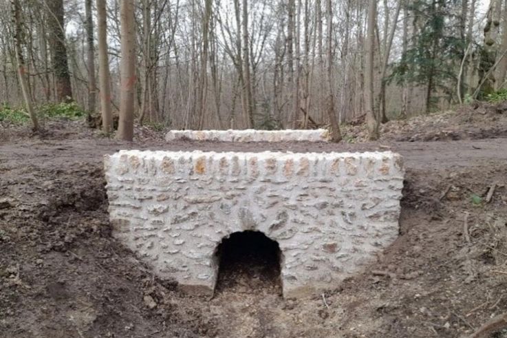 Bois de Chaville