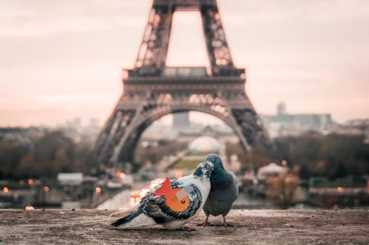 Poissons d'avril ou pas ? Le QCM pour vous tester 