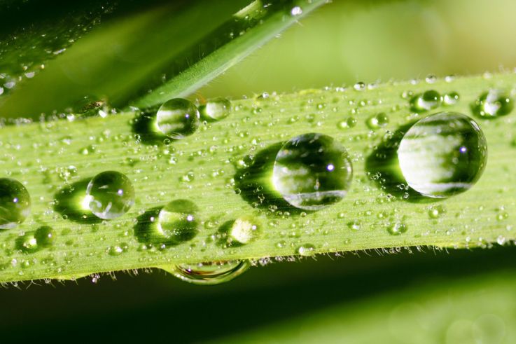 Les adresses eco-friendly à Paris 