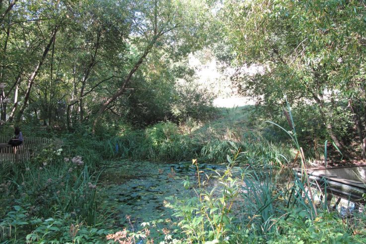Le Jardin naturel Pierre-Emmanuel à Paris où la nature reprend ses droits
