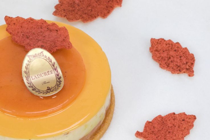 Ladurée dévoile sa collection automne