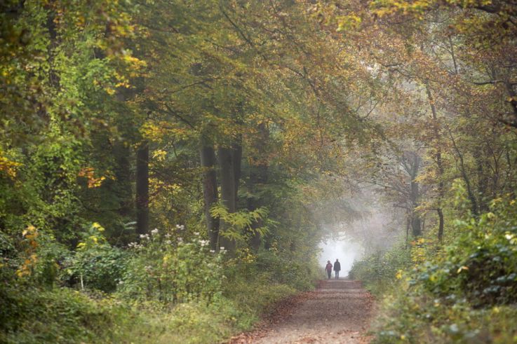 Journées du patrimoine 2018 à la forêt de Saint-Germain