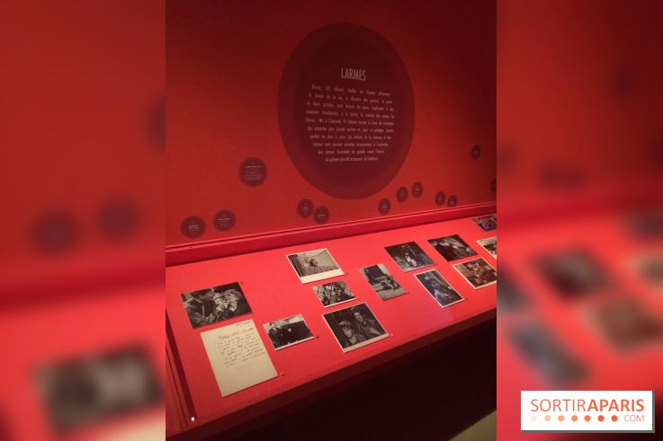 Mômes & Cie à la Cinémathèque