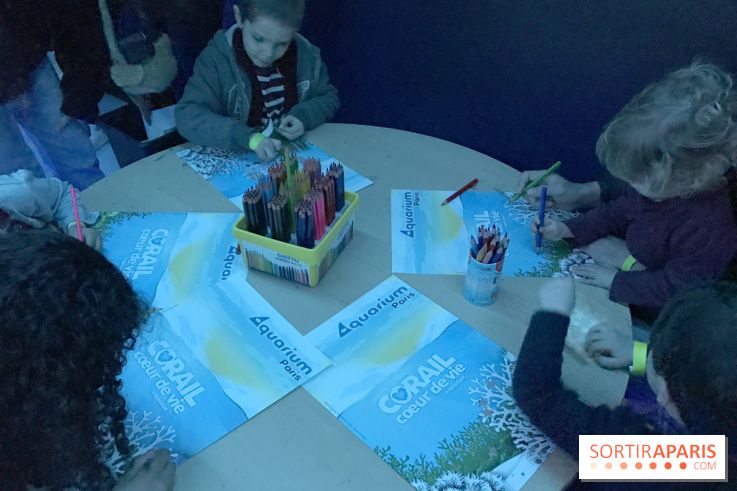 Les récifs Coralliens s'exposent à l'Aquarium de Paris