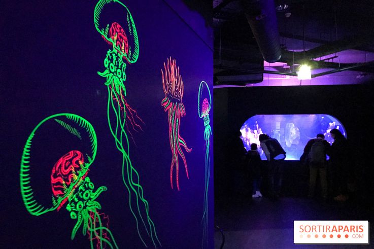 Les récifs Coralliens s'exposent à l'Aquarium de Paris