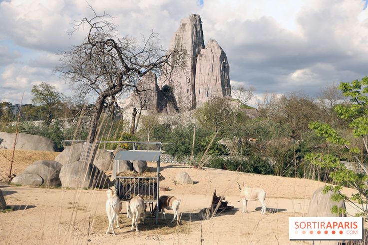 Zoo de Vincennes, Parc Zoologique de Paris 2017