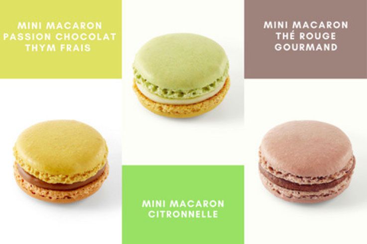 Macaron Maison Kayser