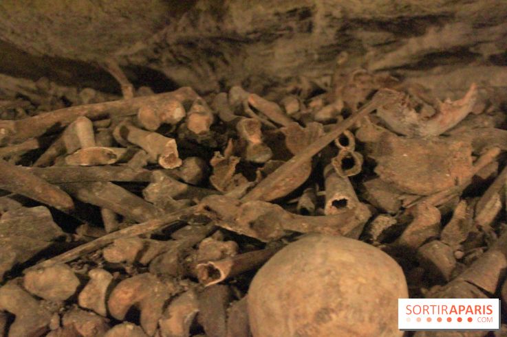 Les Catacombes de Paris