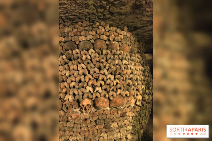 Les Catacombes de Paris