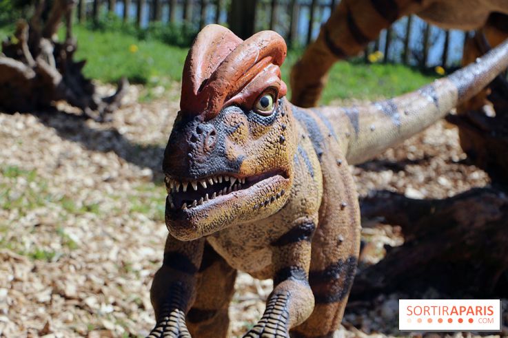 DinoZOOres II au Zoo de Thoiry