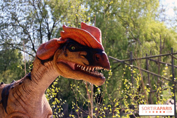 DinoZOOres II au Zoo de Thoiry