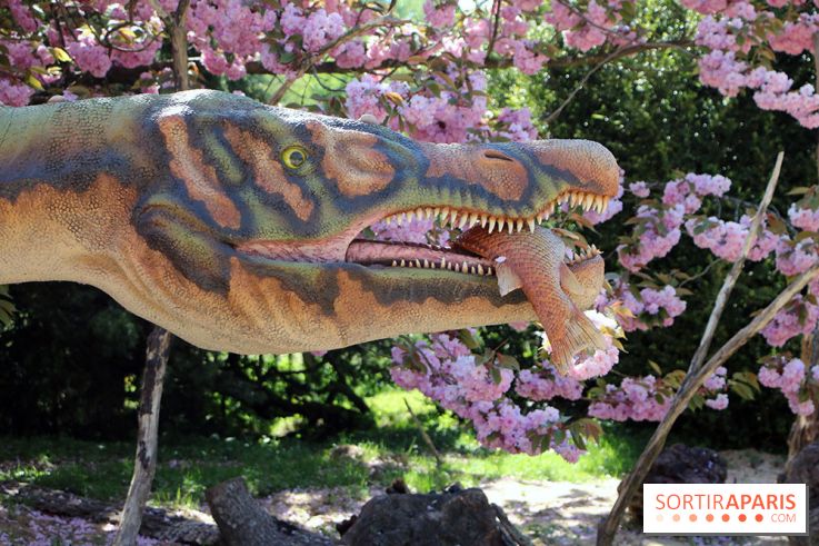 DinoZOOres II au Zoo de Thoiry