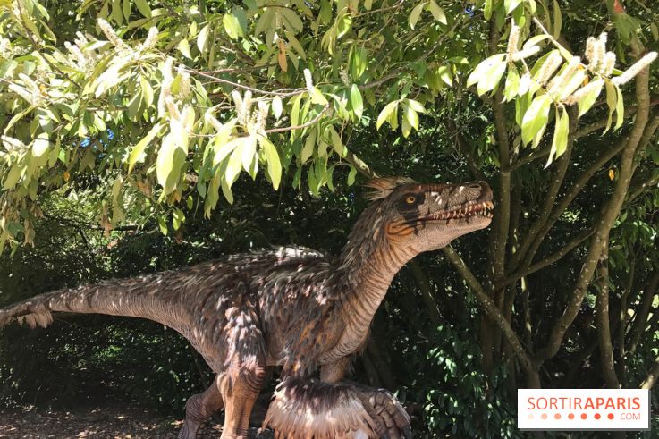 DinoZOOre II au Zoo de Thoiry, album 2