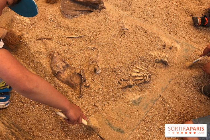 DinoZOOre II au Zoo de Thoiry, album 2