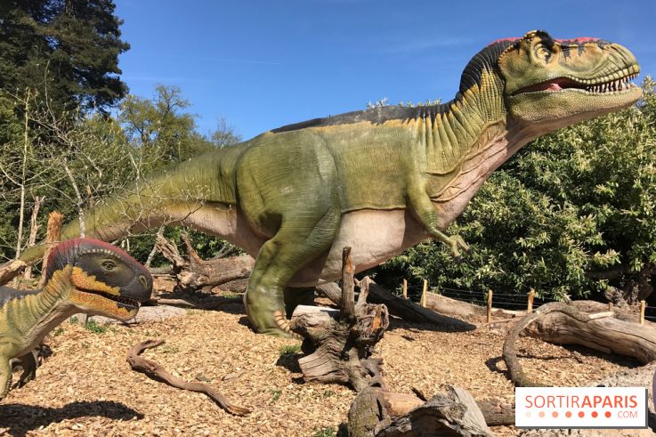 DinoZOOre II au Zoo de Thoiry, album 2