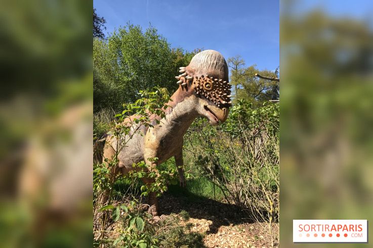 DinoZOOre II au Zoo de Thoiry, album 2