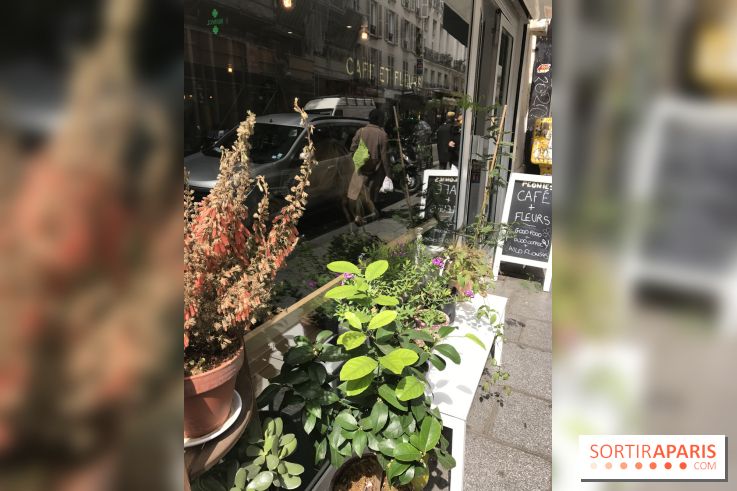 Peonies, le coffee-shop fleuriste