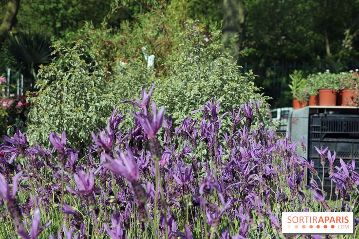 Jardins en Seine 2017