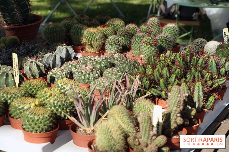 Jardins en Seine 2017