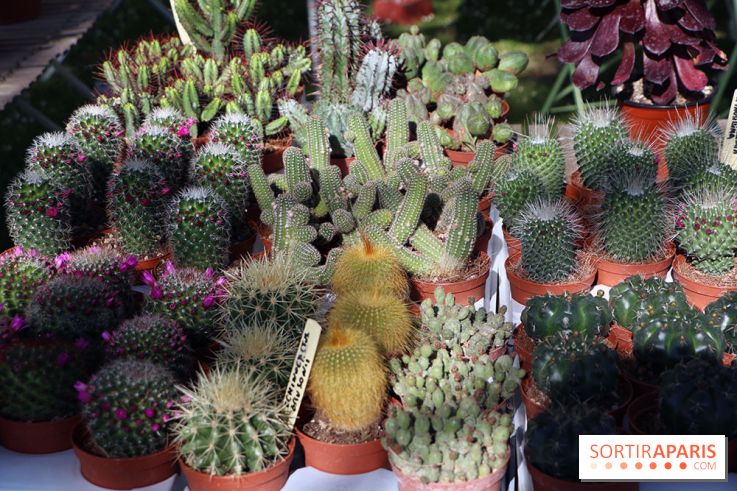 Jardins en Seine 2017