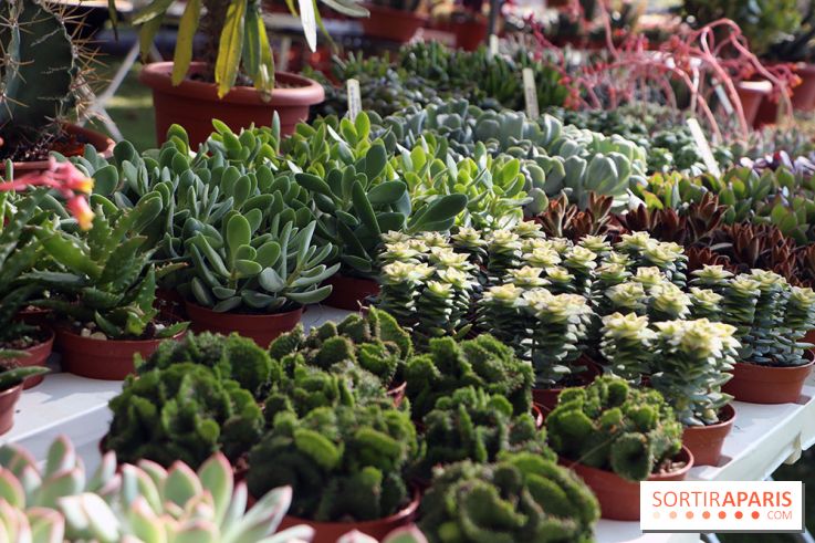 Jardins en Seine 2017