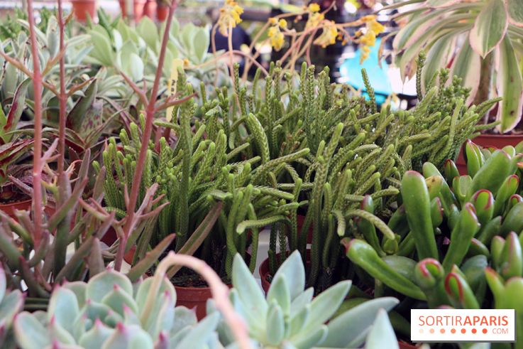 Jardins en Seine 2017