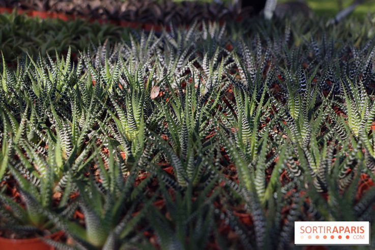 Jardins en Seine 2017