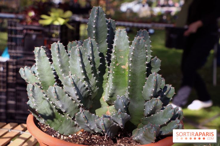 Jardins en Seine 2017