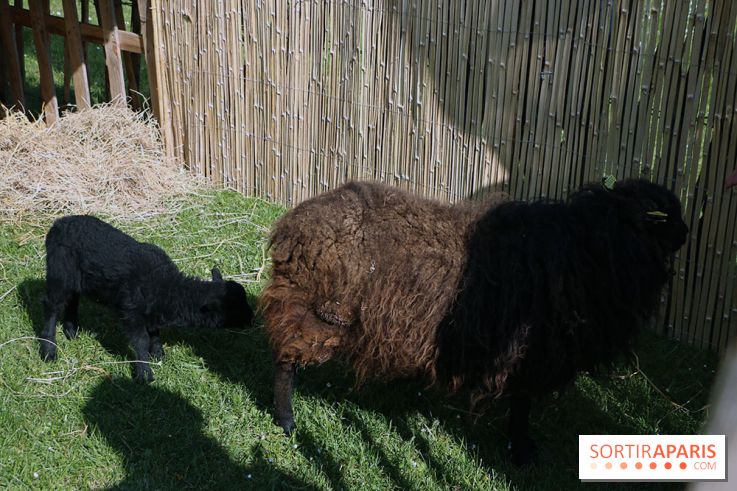 Jardins en Seine 2017