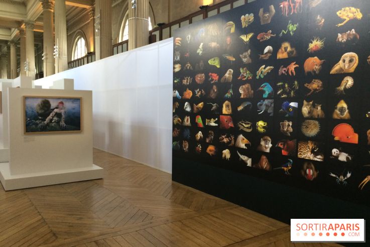 National Geographic s'expose au MNHA : nos images de l'expo