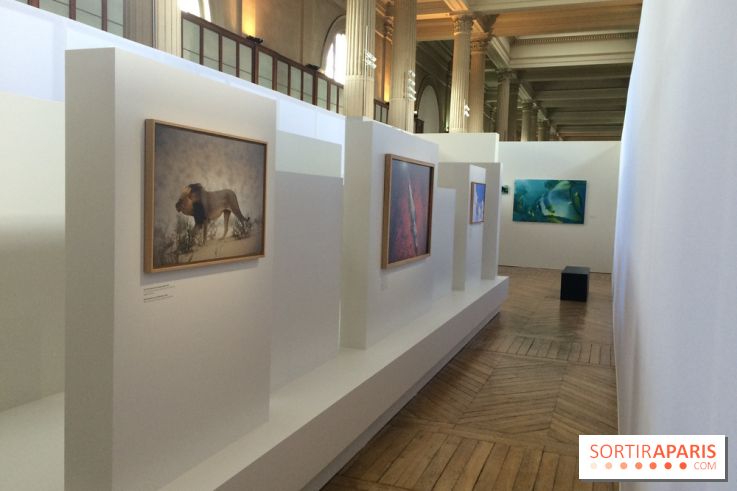 National Geographic s'expose au MNHA : nos images de l'expo