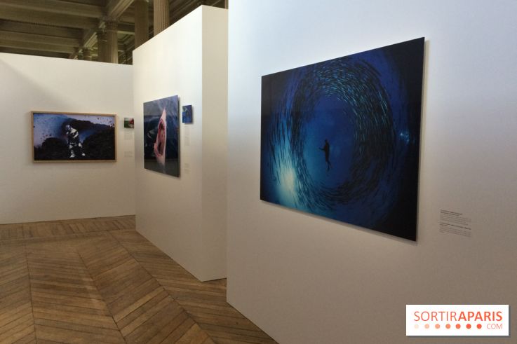 National Geographic s'expose au MNHA : nos images de l'expo