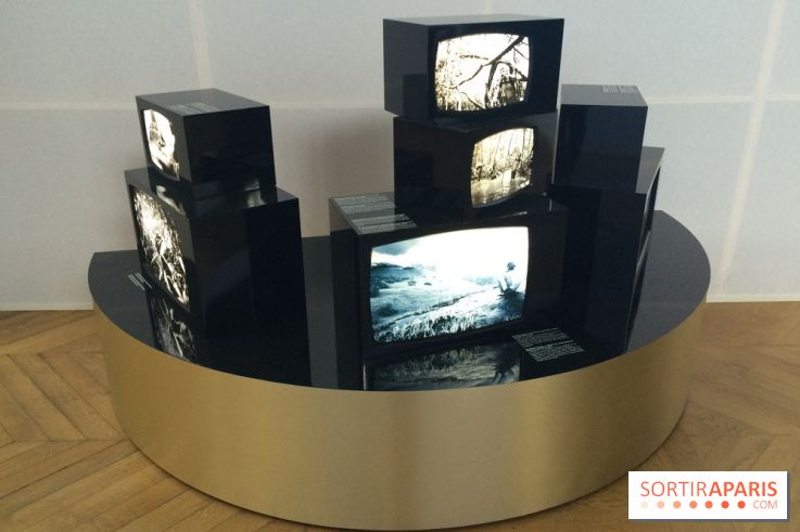 National Geographic s'expose au MNHA : nos images de l'expo