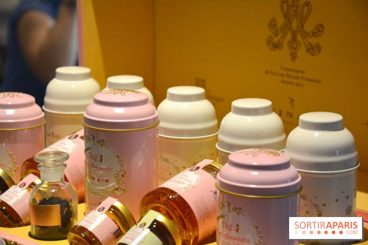 La Marie-Antoinette à l'Hôtel de Vendôme