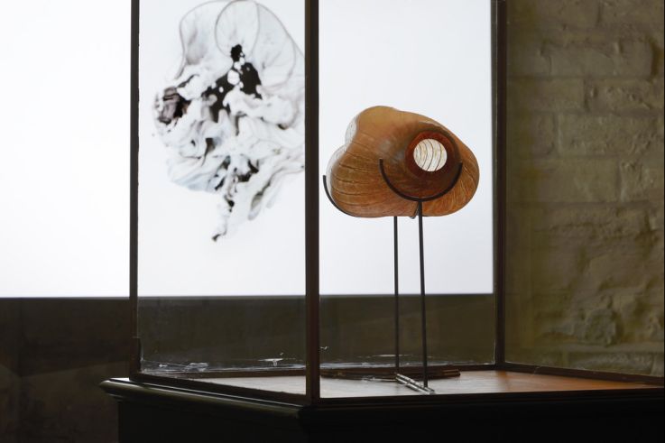 Exposition Sentience, écouter le parfum de la couleur à l'Abbaye de Maubuisson