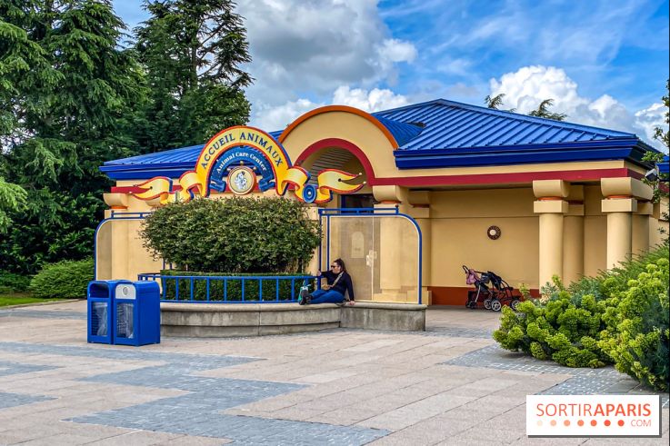 Le saviez-vous ? À Disneyland Paris, vous pouvez faire garder votre chat ou votre chien !