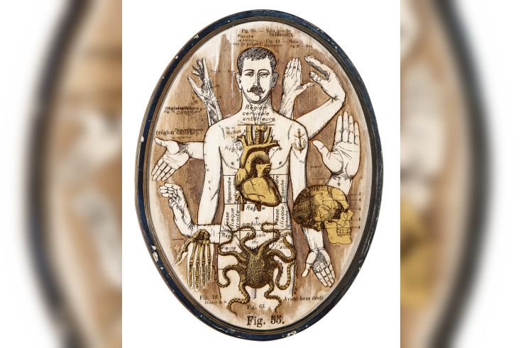 Anatonirisme : l'exposition gratuite entre art et science à la galerie La Lison